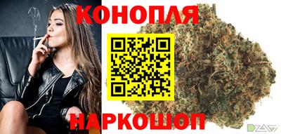 индика Тулун