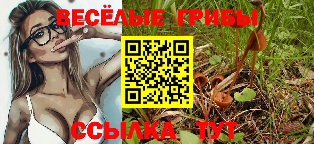 Галлюциногенные грибы MAGIC MUSHROOMS Новочеркасск